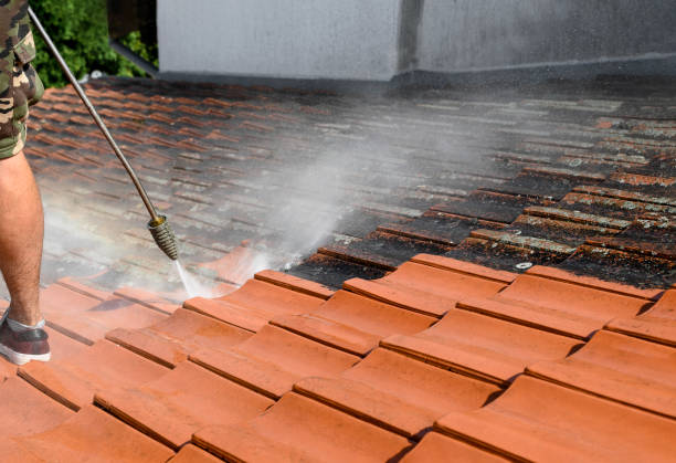 Best Affordable Power Washing  in Hypoluxo, FL